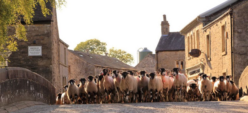 visit the yorkshire dales